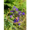1 x Stylowa Podpora do roślin krzewów kwiatów PERGOLA średnica 45cm wysokość 65cm